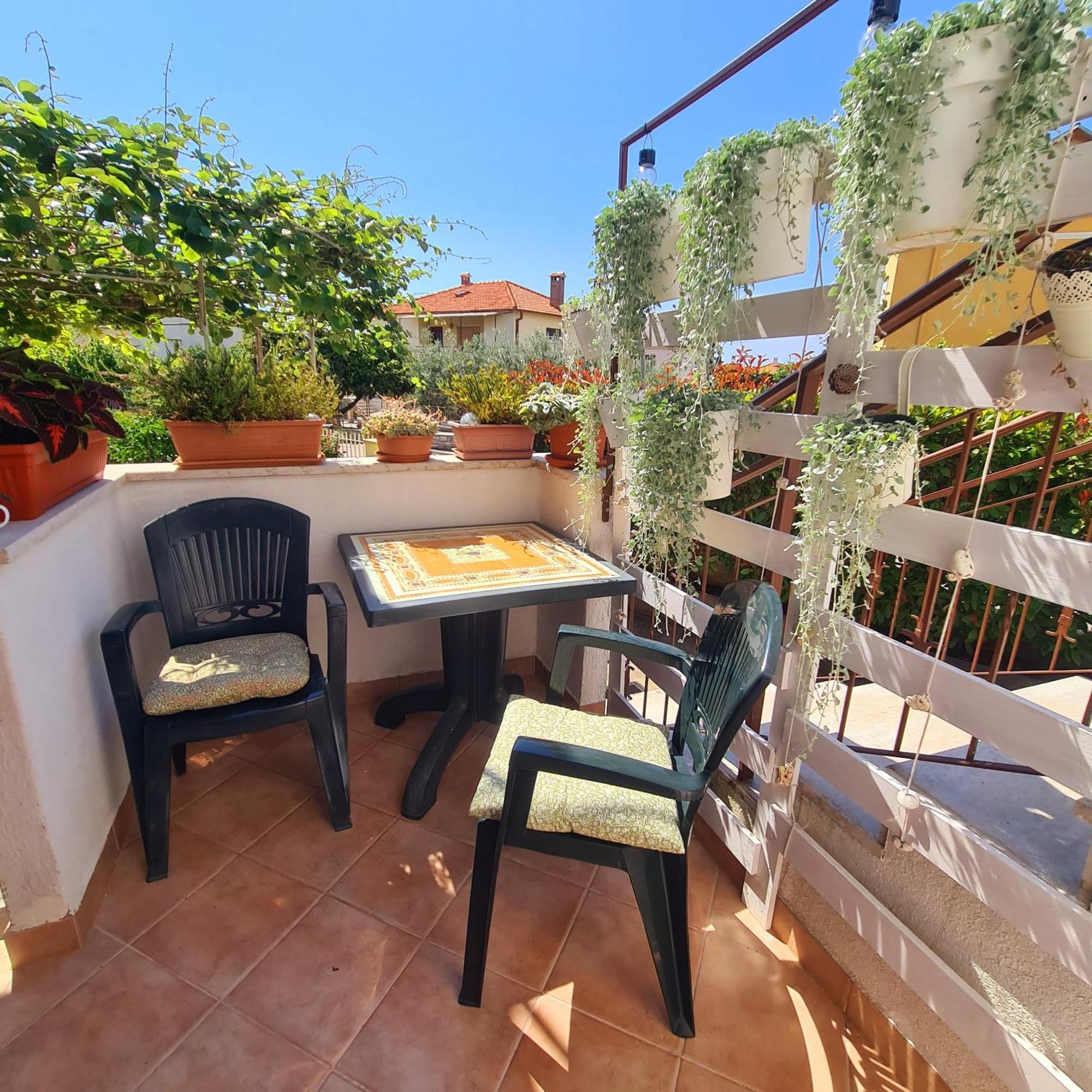 Apartments Ada Rovinj Eksteriør bilde