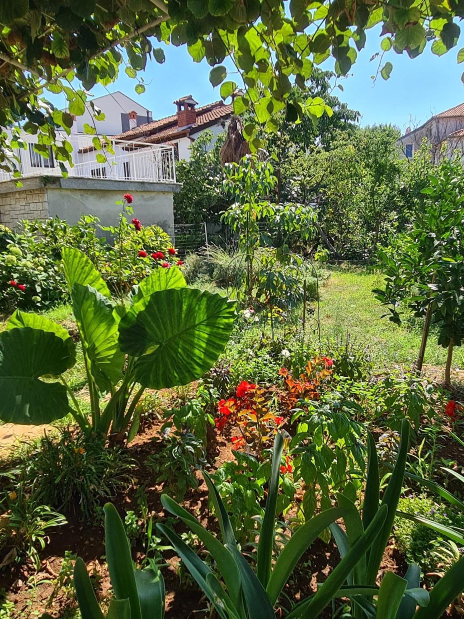 Apartments Ada Rovinj Eksteriør bilde